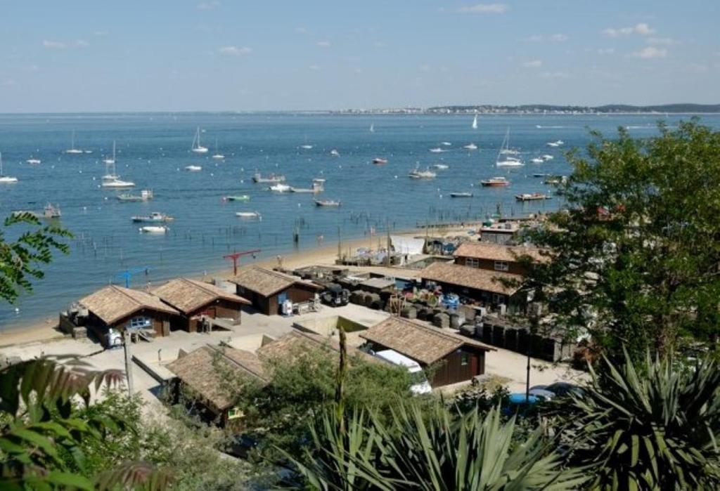 Appartement Cosy Village De L'Herbe Lège-Cap-Ferret Exteriör bild